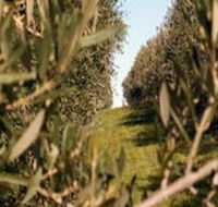 Evilo Estate - Sydney Tourism