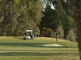 Barossa Valley SA Sydney Tourism