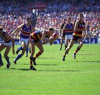 AAMI Stadium Tours - Sydney Tourism