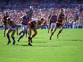 AAMI Stadium Tours - Sydney Tourism 0
