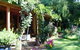 Rainforest Retreat - thumb 0