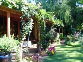 Rainforest Retreat - Sydney Tourism 0