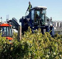 Ballast Stone Estate Wines Pty Ltd - Sydney Tourism
