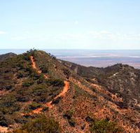 Arden Hills Props - Sydney Tourism