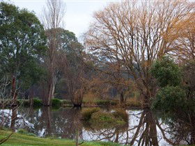 Gemtree Wetlands Ecotrail - Sydney Tourism 0