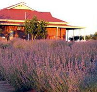 Bella Lavender Estate