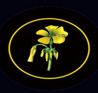 Battle of Bosworth Wines - Sydney Tourism