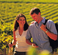 Lady Bay Vineyard - Sydney Tourism