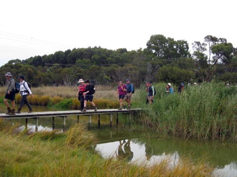 Lavender Federation Trail - Sydney Tourism 1
