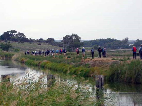 Lavender Federation Trail - Sydney Tourism 2