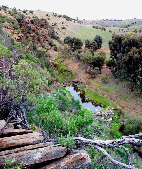 Lavender Federation Trail - Sydney Tourism 3