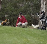 Tasmania Golf Club - The - Sydney Tourism
