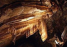 Gunns Plains Cave - Sydney Tourism 0