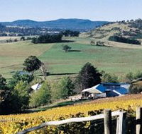 Freycinet Vineyards Pty Ltd