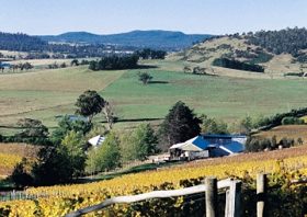 Freycinet Vineyards Pty Ltd - Sydney Tourism 0