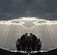 aart. Gallery of Fine Art - Sydney Tourism