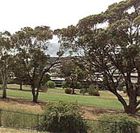 Rosny Park Public Golf Course - Sydney Tourism