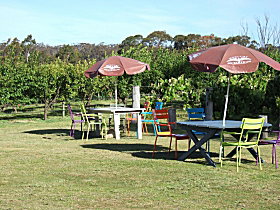 Cerise Brook Orchard & Family Golf - Sydney Tourism 0