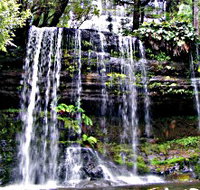 Mt Field National Park - Sydney Tourism