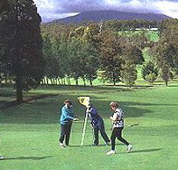 Deloraine Golf Course - Sydney Tourism