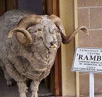 Tasmanian Wool Centre - Sydney Tourism