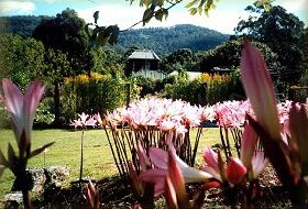 Blueberry Cottage Open Gardens - Sydney Tourism 0
