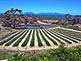 Kate's Berry Farm - Sydney Tourism 0