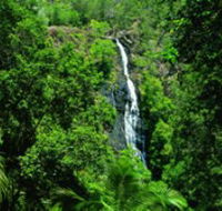 Kondalilla National Park