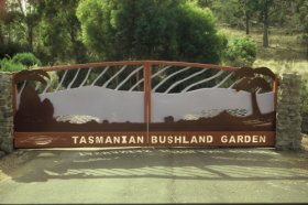 Tasmanian Bushland Garden - Sydney Tourism 0
