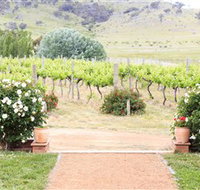 Brindabella Hills Winery - Sydney Tourism
