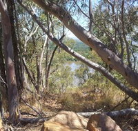 Black Mountain - Sydney Tourism