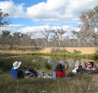 Canberra Nature Park - Sydney Tourism