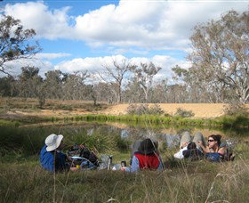 Canberra Nature Park - Sydney Tourism 0