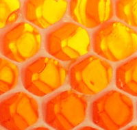 The Honey Pot