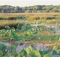 Fogg Dam Conservation Reserve