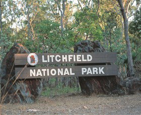 Bamboo Creek Tin Mine - Sydney Tourism 0