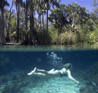 Bitter Springs - Sydney Tourism