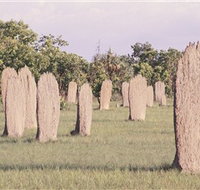 Magnetic Termite Mounds - Sydney Tourism