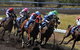 Alice Springs Turf Club - thumb 0