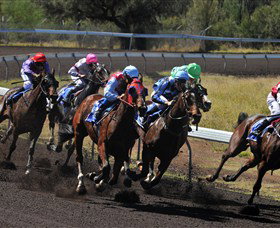 Alice Springs Turf Club - Sydney Tourism 0