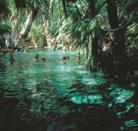Mataranka Thermal Pool - Sydney Tourism