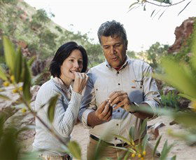 Simpsons Gap - Sydney Tourism 0