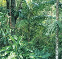 Westside Track Maiala - Sydney Tourism