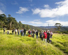 Austinville QLD Sydney Tourism