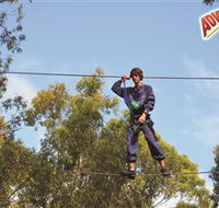 Adventure Parc at Currumbin Wildlife Sanctuary - Sydney Tourism