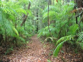 Mapleton QLD Sydney Tourism