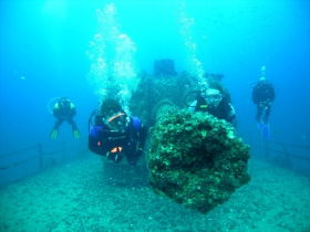 Mudjimba QLD Sydney Tourism