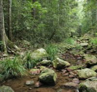 Amamoor State Forest