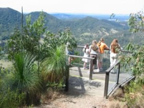 Mapleton Forest Reserve - Sydney Tourism 0