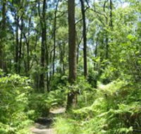 Mapleton Falls National Park